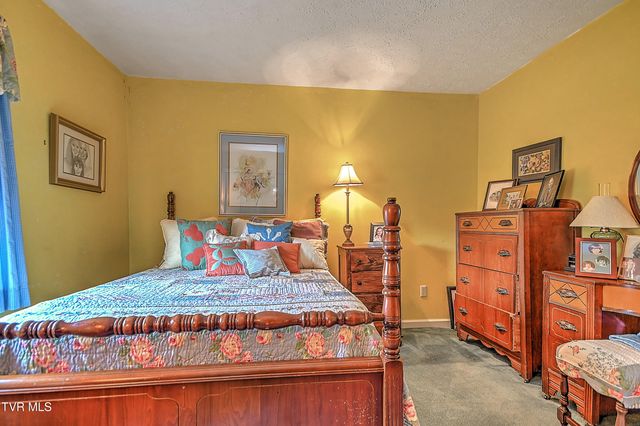 207 Hermosa Drive, Fall Branch, TN 37656