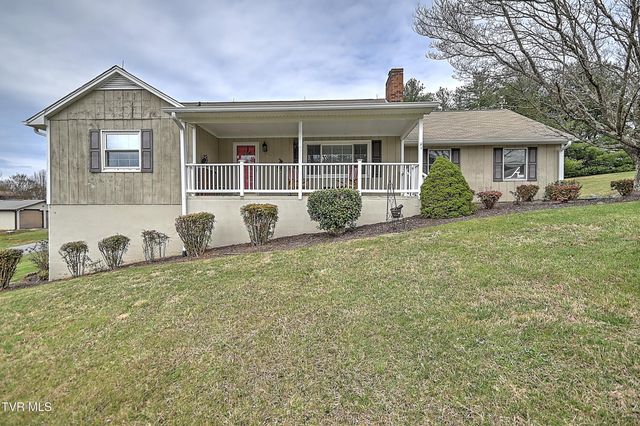 207 Hermosa Drive, Fall Branch, TN 37656