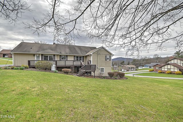 207 Hermosa Drive, Fall Branch, TN 37656