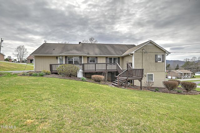 207 Hermosa Drive, Fall Branch, TN 37656