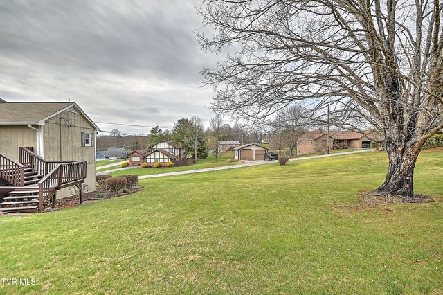 207 Hermosa Drive, Fall Branch, TN 37656