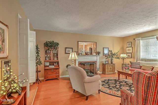 207 Hermosa Drive, Fall Branch, TN 37656