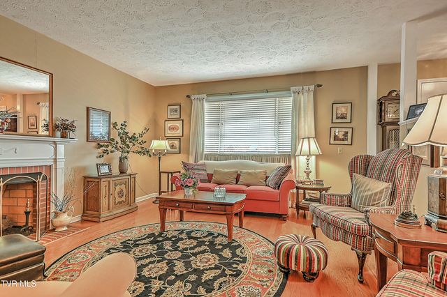 207 Hermosa Drive, Fall Branch, TN 37656