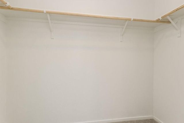 15298 Abella Drive, Conroe, TX 77316