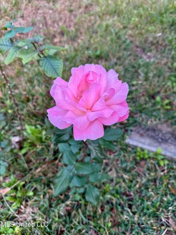 700 Sarazen Drive, Gulfport, MS 39507