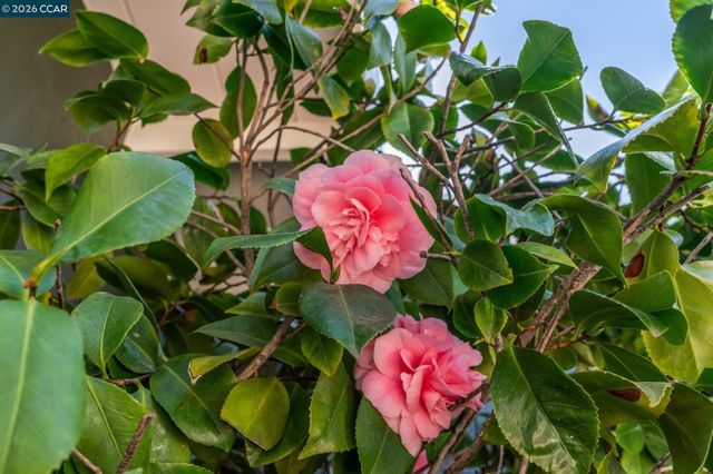 2819 Kay Ave, Concord, CA 94520