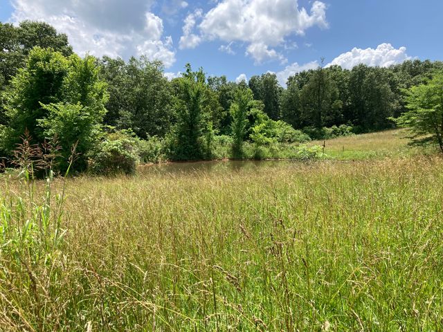 000 County Rd O-532, 27, Ava, MO 65608