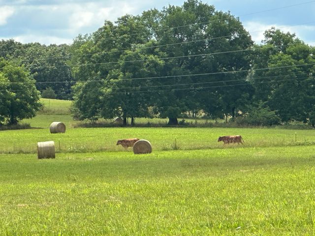 000 County Rd O-532, 27, Ava, MO 65608