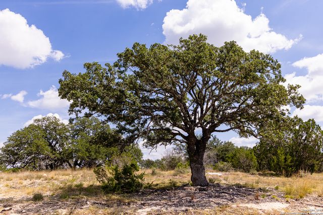 173 Dark Sky Path, Kerrville, TX 78028