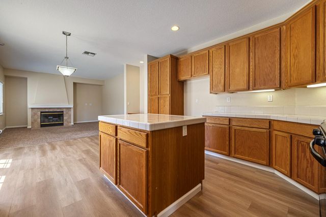 13228 Christie Falls Way, Lathrop, CA 95330