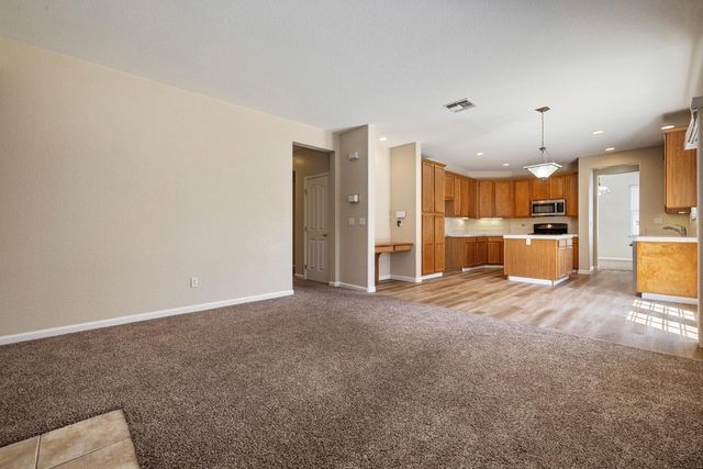 13228 Christie Falls Way, Lathrop, CA 95330