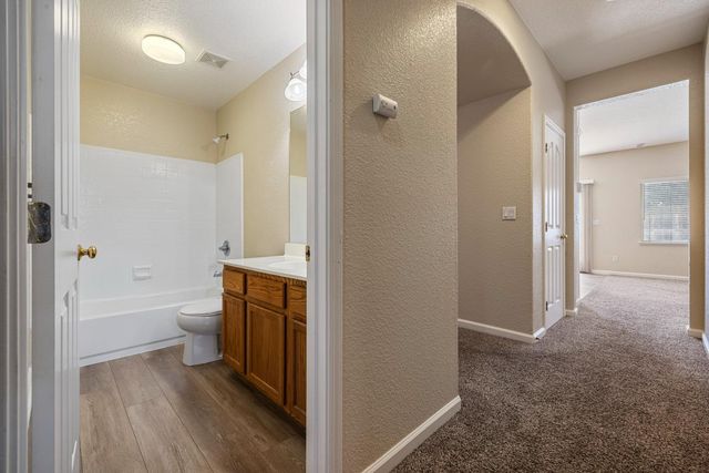 13228 Christie Falls Way, Lathrop, CA 95330