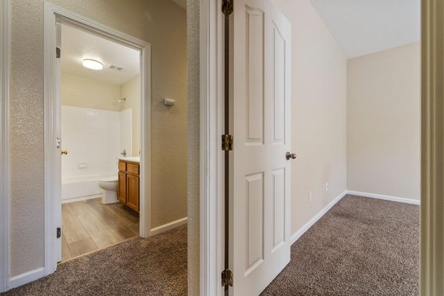 13228 Christie Falls Way, Lathrop, CA 95330