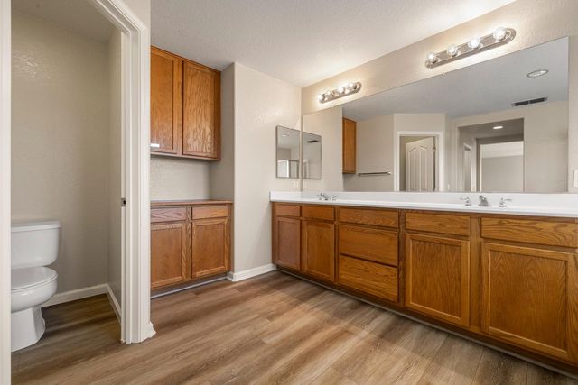 13228 Christie Falls Way, Lathrop, CA 95330
