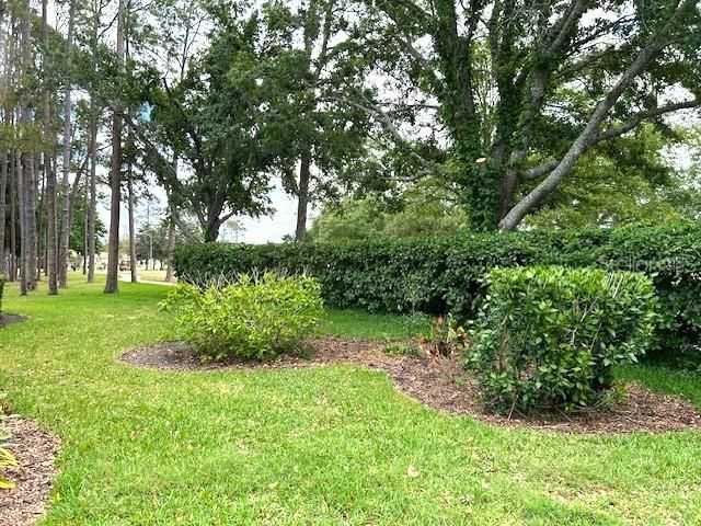 11752 WAYSIDE WILLOW COURT, Hudson, FL 34667