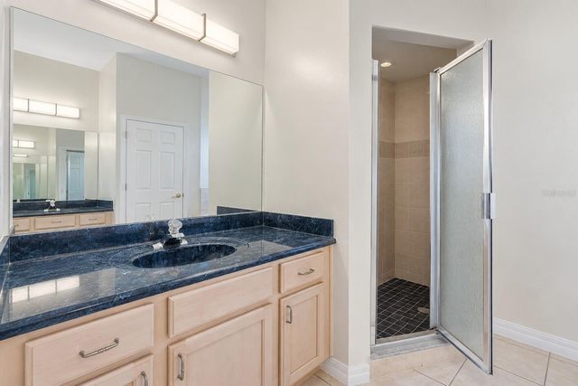 321 CORVINA DRIVE, Davenport, FL 33897