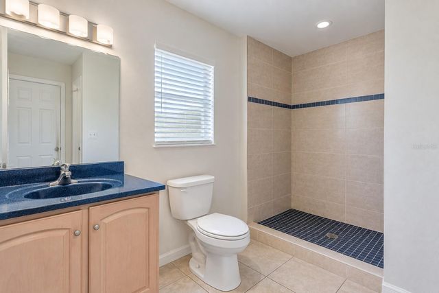 321 CORVINA DRIVE, Davenport, FL 33897