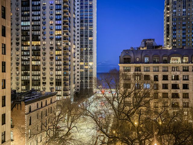 1260 N Astor Street 7, Chicago, IL 60610