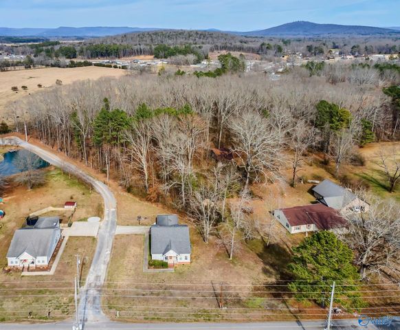 4273 Old Highway 431, New Hope, AL 35760