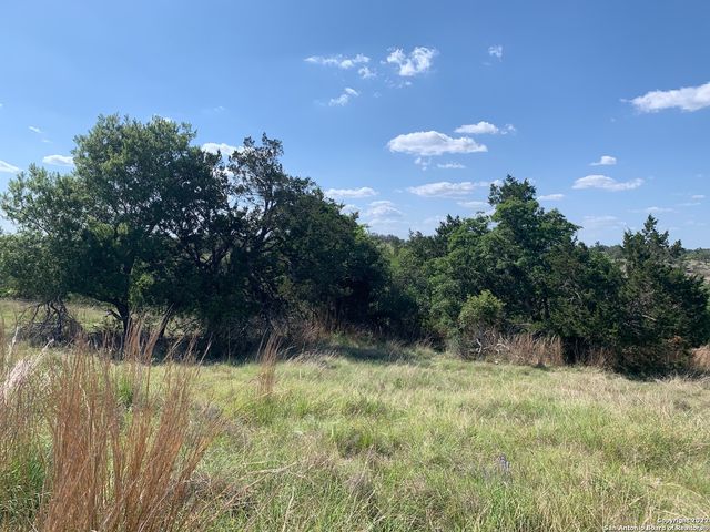 02 Verde Ct., Fredericksburg, TX 78624