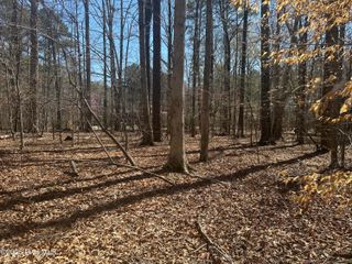 1542 Green Meadow Lane, Rocky Mount, NC 27804