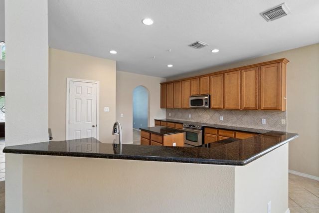 13617 Sun Dapple CT, Manor, TX 78653
