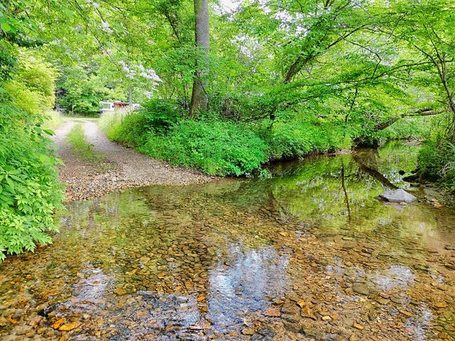 340 Misty Morning Drive, Blairsville, GA 30512