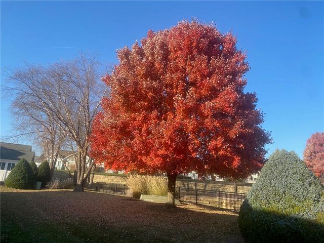 7135 Meadow View Street, Shawnee, KS 66227