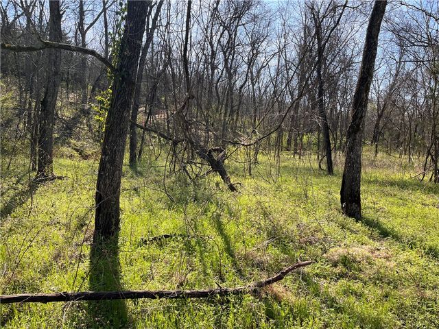 Lot 10 Wey Lane, Bella Vista, AR 72714