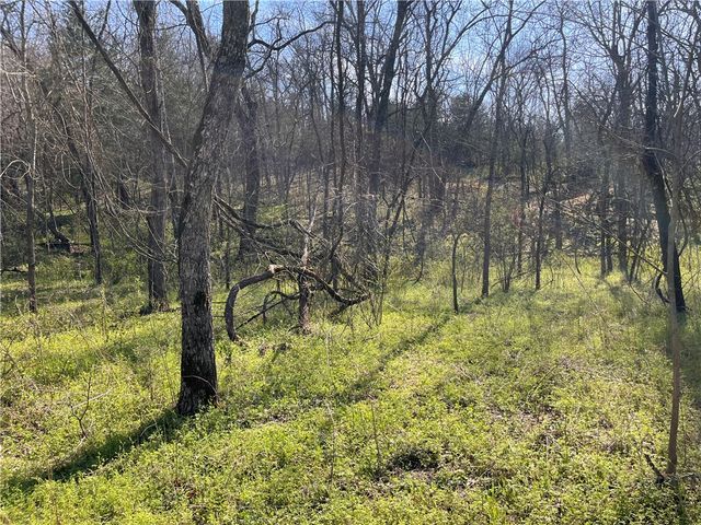 Lot 10 Wey Lane, Bella Vista, AR 72714