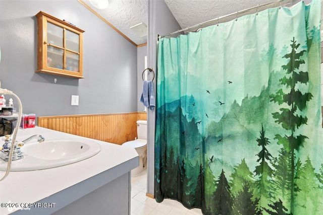 17165 E Plumley Road, Palmer, AK 99645
