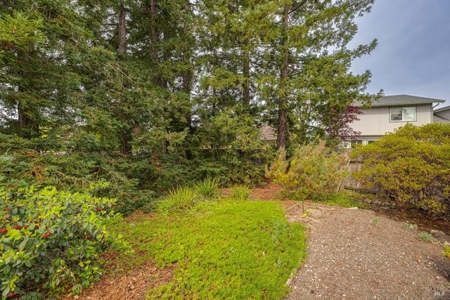 29 Caulfield Ct, Petaluma, CA 94954