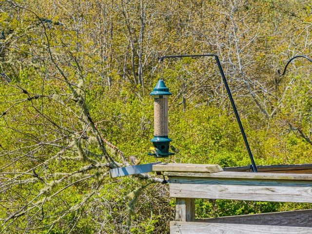 66 Snow Ln, Chatham, MA 02633