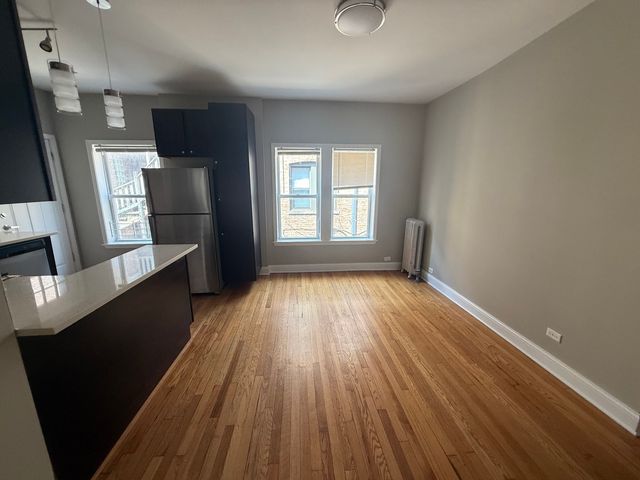 836 E 53rd Street 3N, Chicago, IL 60615