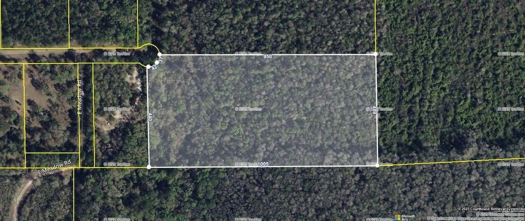 Lot 29, Block A E Meadow Road, Monticello, FL 32344