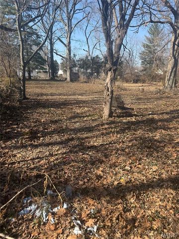 257 S Barat Avenue, Ferguson, MO 63135