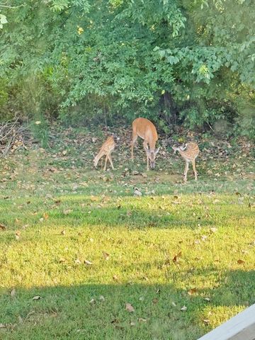 692 White Face Dr, Clarksville, TN 37040