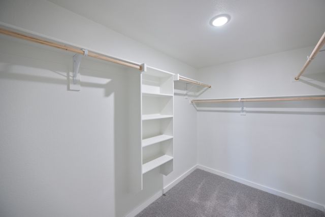 577 Sierra Ridge, Lavon, TX 75166