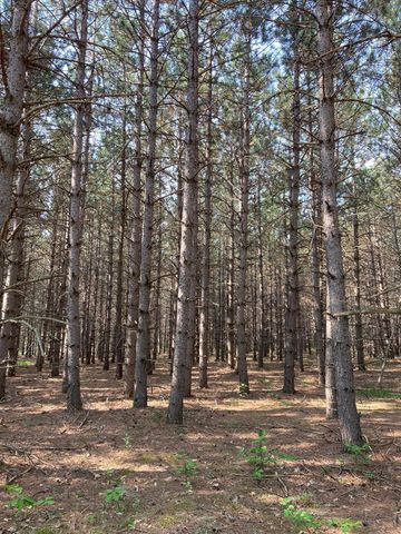 Lot 7 Fawn Lake Road, Breezy Point, MN 56472