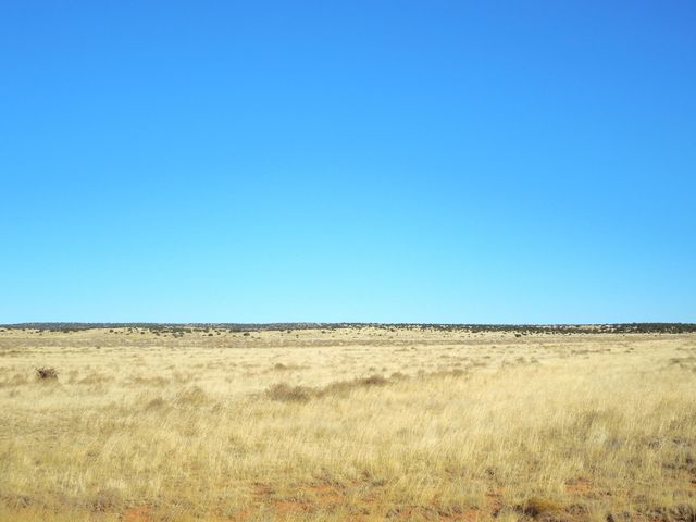 Lot 20-22 Block 8 Tract 12, Estancia, NM 87016