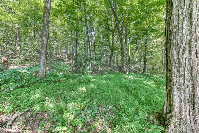 744 Sycamore Shoals Drive, Elizabethton, TN 37643