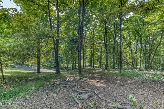 744 Sycamore Shoals Drive, Elizabethton, TN 37643