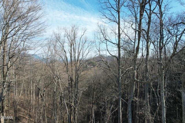 2 Spurling Way, Sevierville, TN 37862
