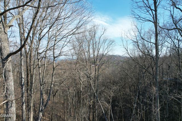2 Spurling Way, Sevierville, TN 37862