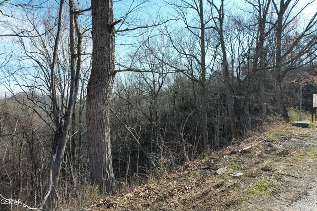 2 Spurling Way, Sevierville, TN 37862
