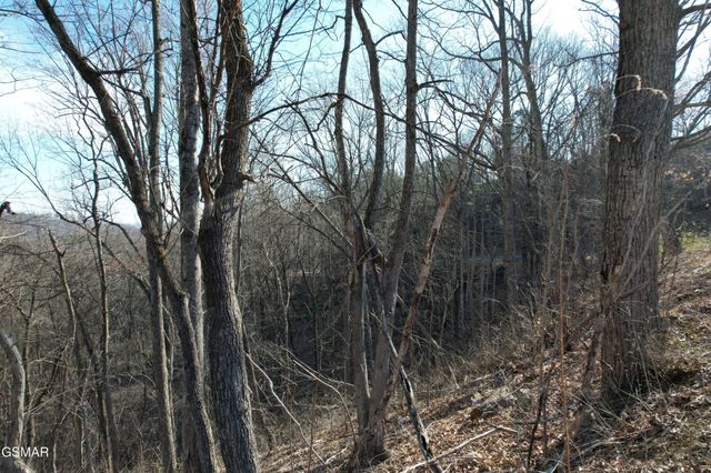2 Spurling Way, Sevierville, TN 37862