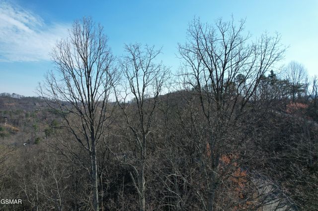 2 Spurling Way, Sevierville, TN 37862