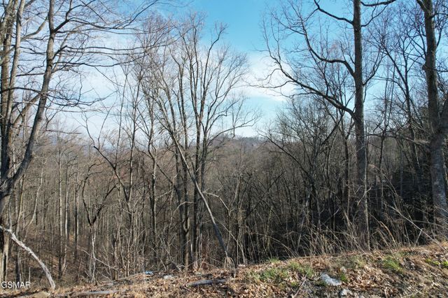 2 Spurling Way, Sevierville, TN 37862