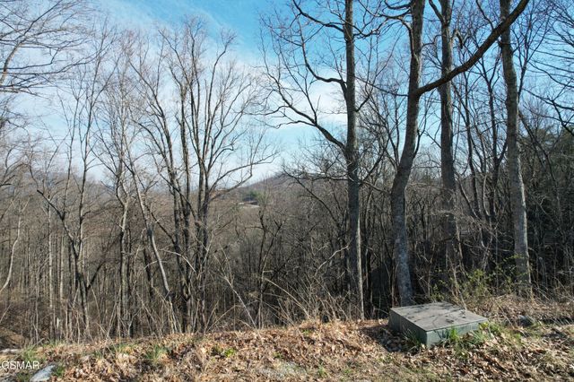2 Spurling Way, Sevierville, TN 37862
