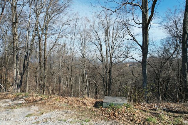 2 Spurling Way, Sevierville, TN 37862